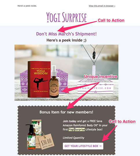 yogi surprise email